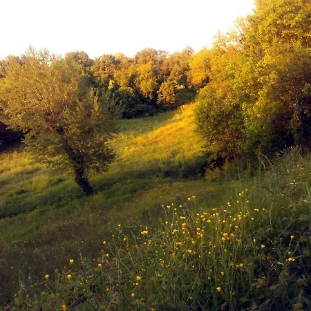 Bed & Breakfast B&B Prato Dei Caprioli 3*