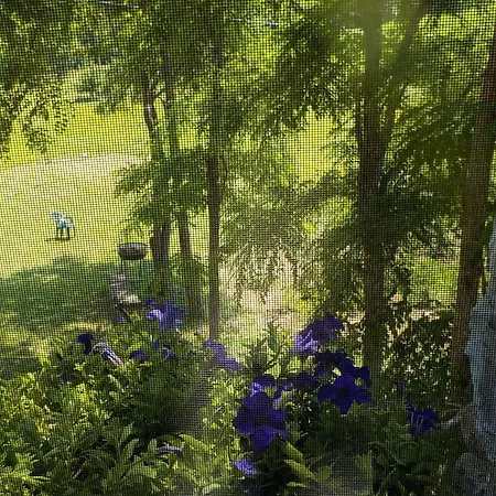 B&B Prato Dei Caprioli Maiolo (Rimini)