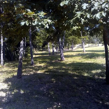 Bed and Breakfast B&B Prato Dei Caprioli