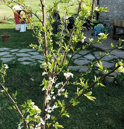 Bed and Breakfast B&B Prato Dei Caprioli